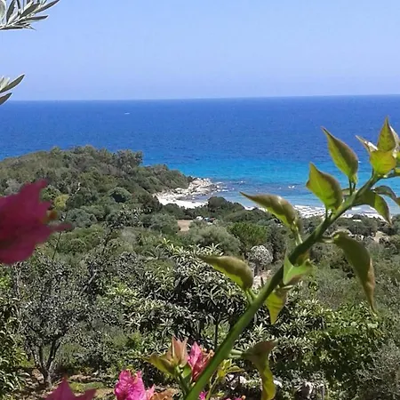 Holiday home Domus Alessandra